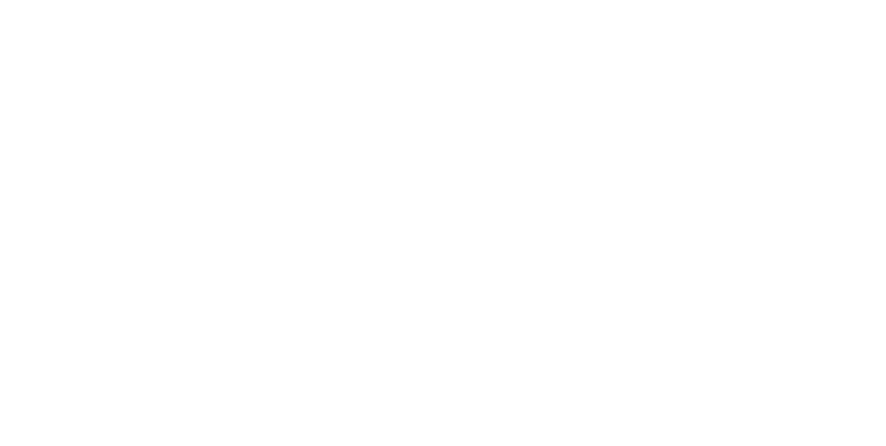 Styre Group